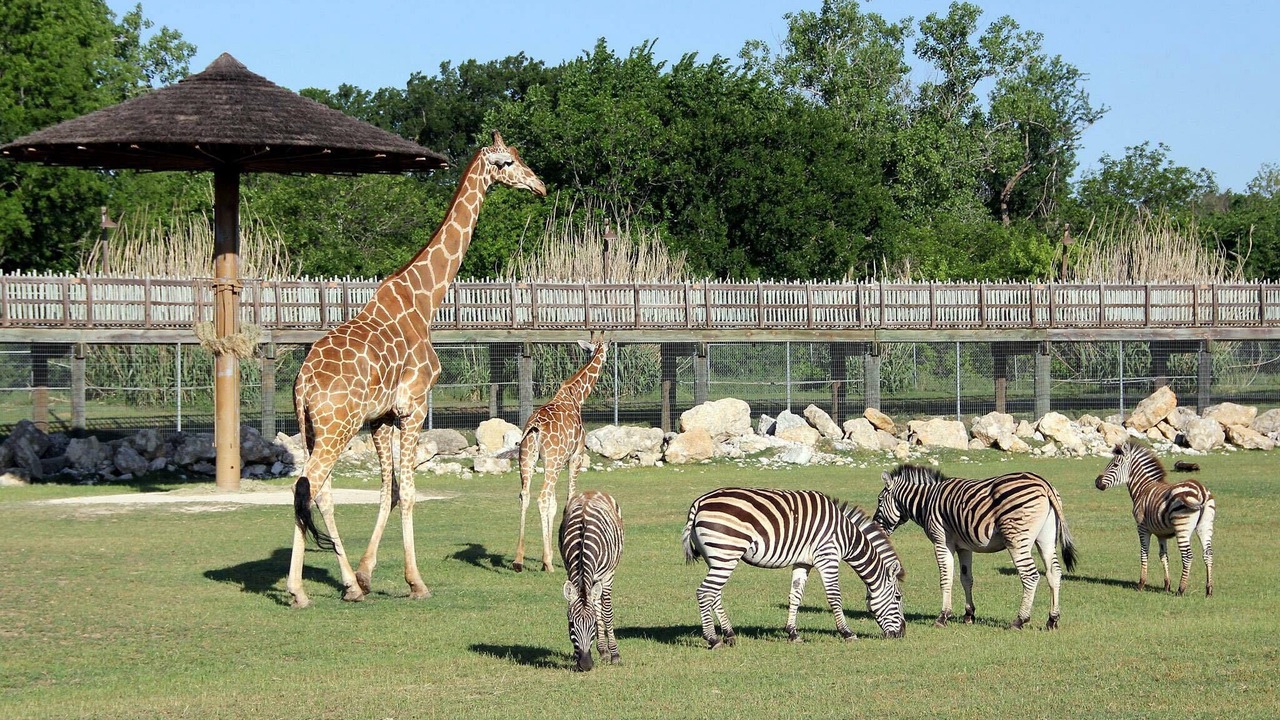 Photo of Others in Gainesville