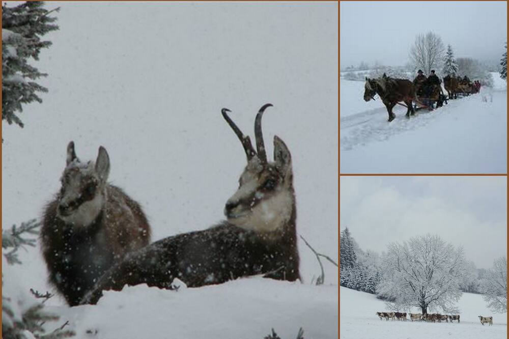 Photo of Outdoor in Entre-Deux-Monts