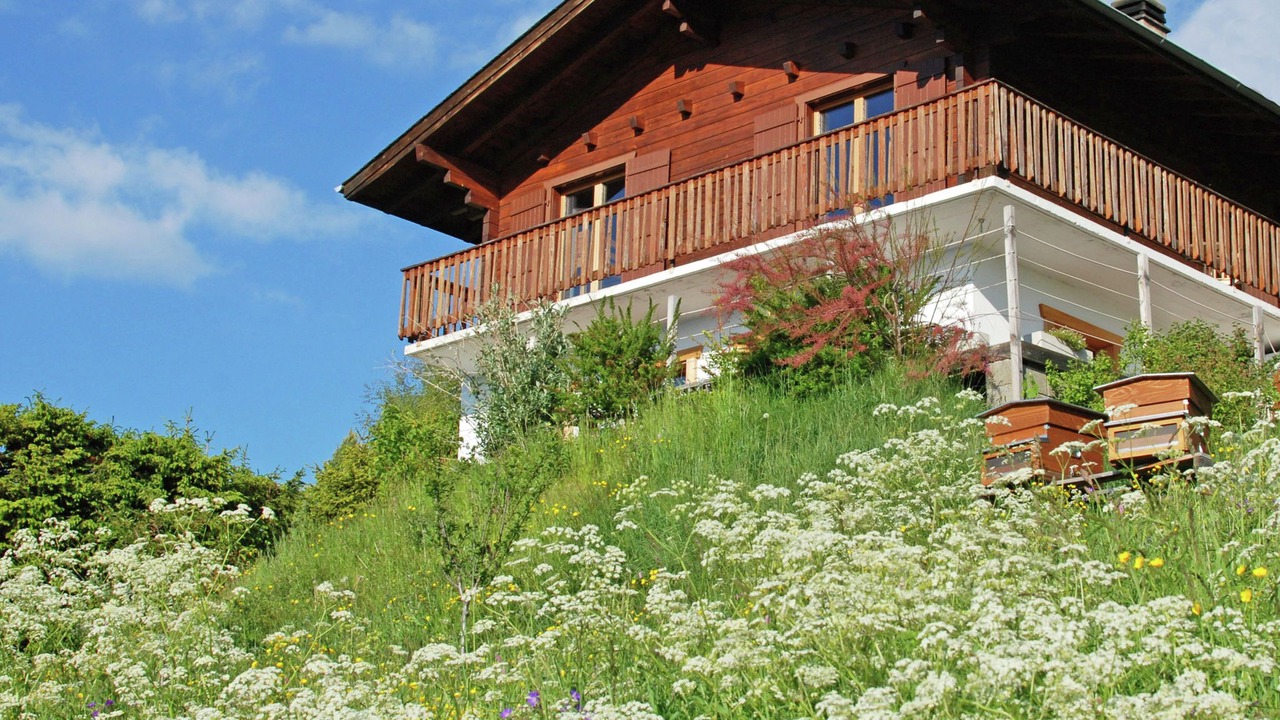 Photo of Outdoor in Veysonnaz