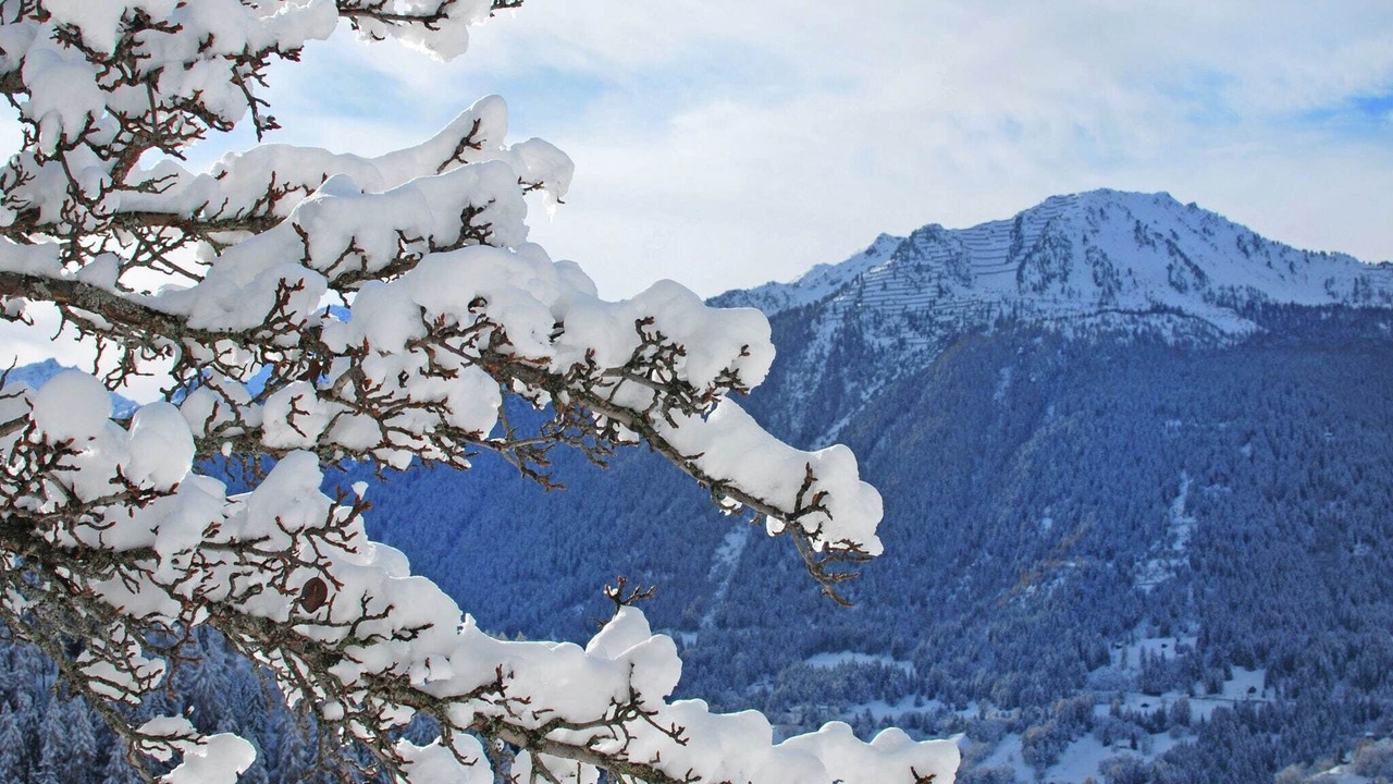 Photo of Outdoor in Veysonnaz
