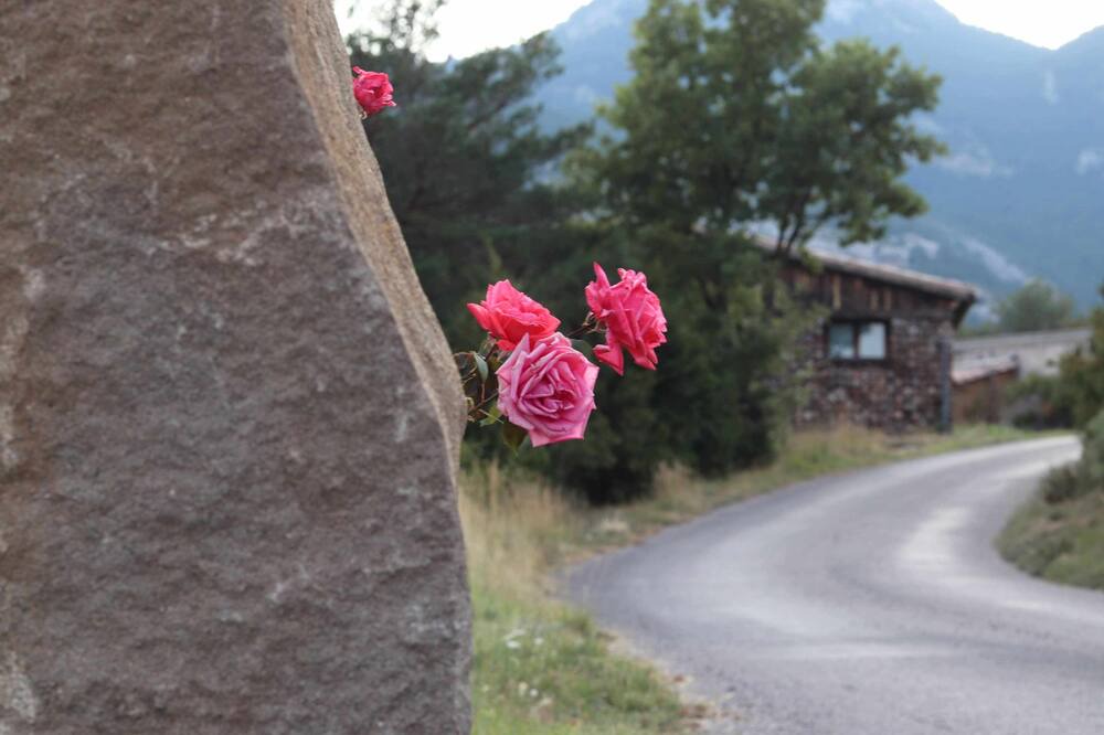 Photo of Outdoor in Oden