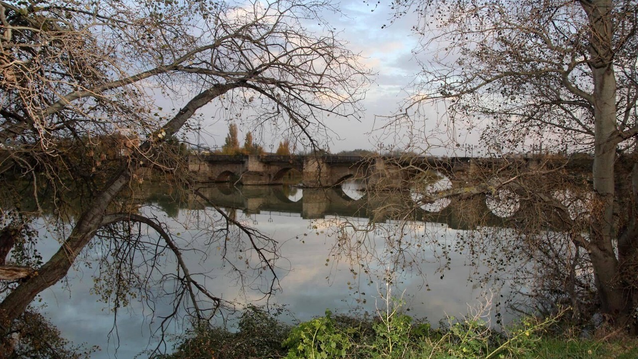 Photo of Others in Tudela