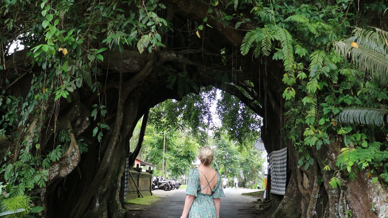 Photo of Others in Pekutatan