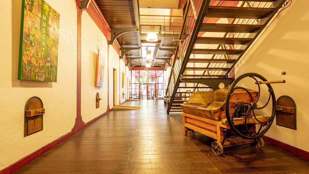 Photo of Others in Belesta