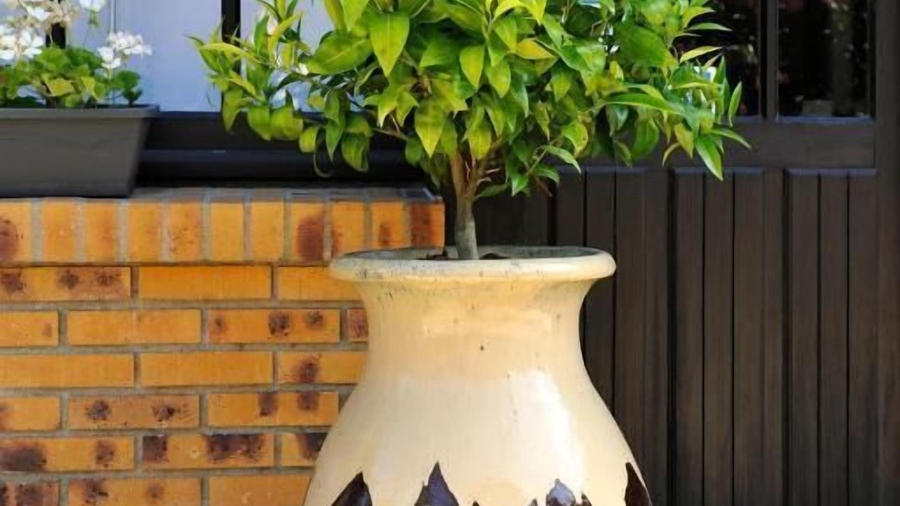 Photo of Outdoor in Cloyes-sur-le-Loir