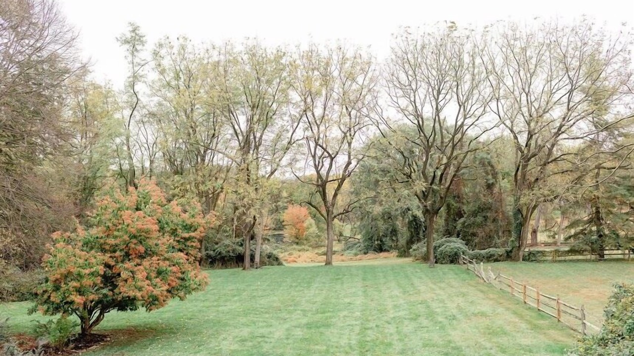 Photo of Others in Centreville