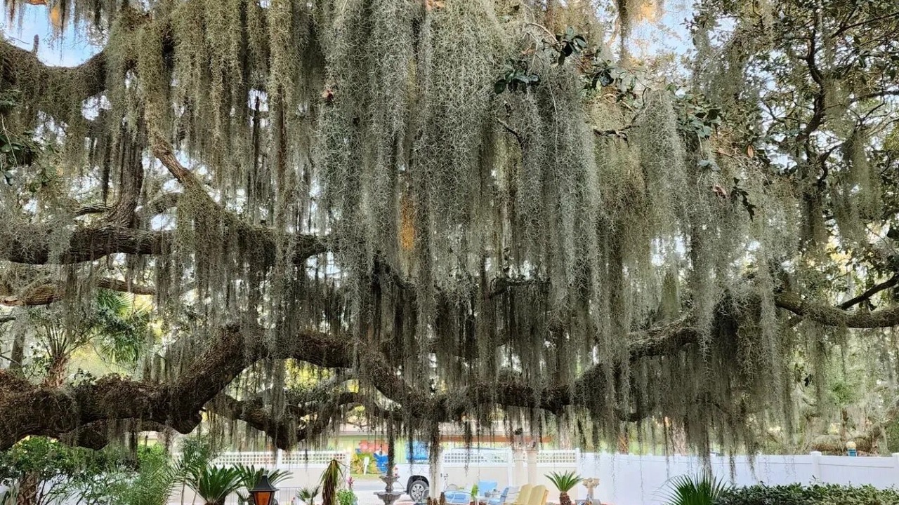 Photo of Others in Tybee Island