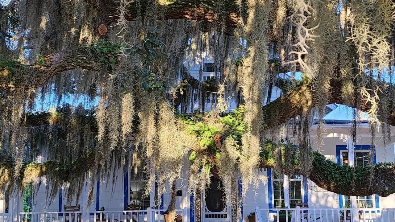 Photo of Patio Balcony in Tybee Island