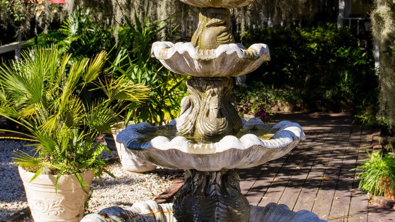 Photo of Outdoor in Tybee Island