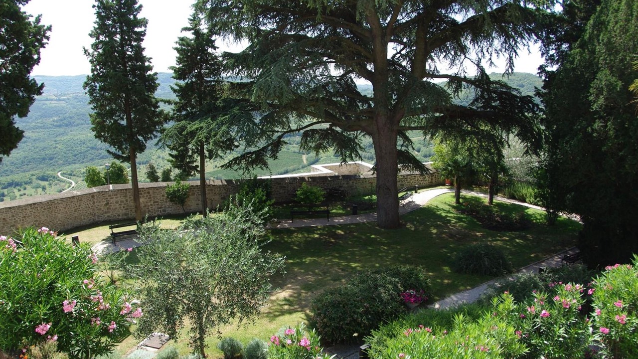 Photo of Outdoor in Motovun