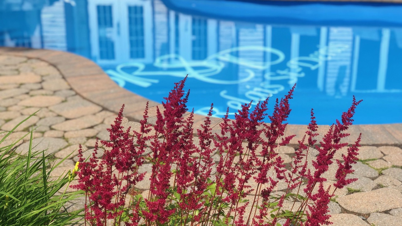 Photo of Outdoor in Saint-Sauveur
