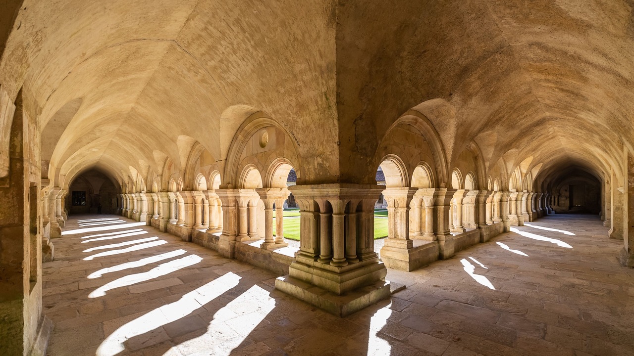 Photo of Others in Chailly-sur-Armancon