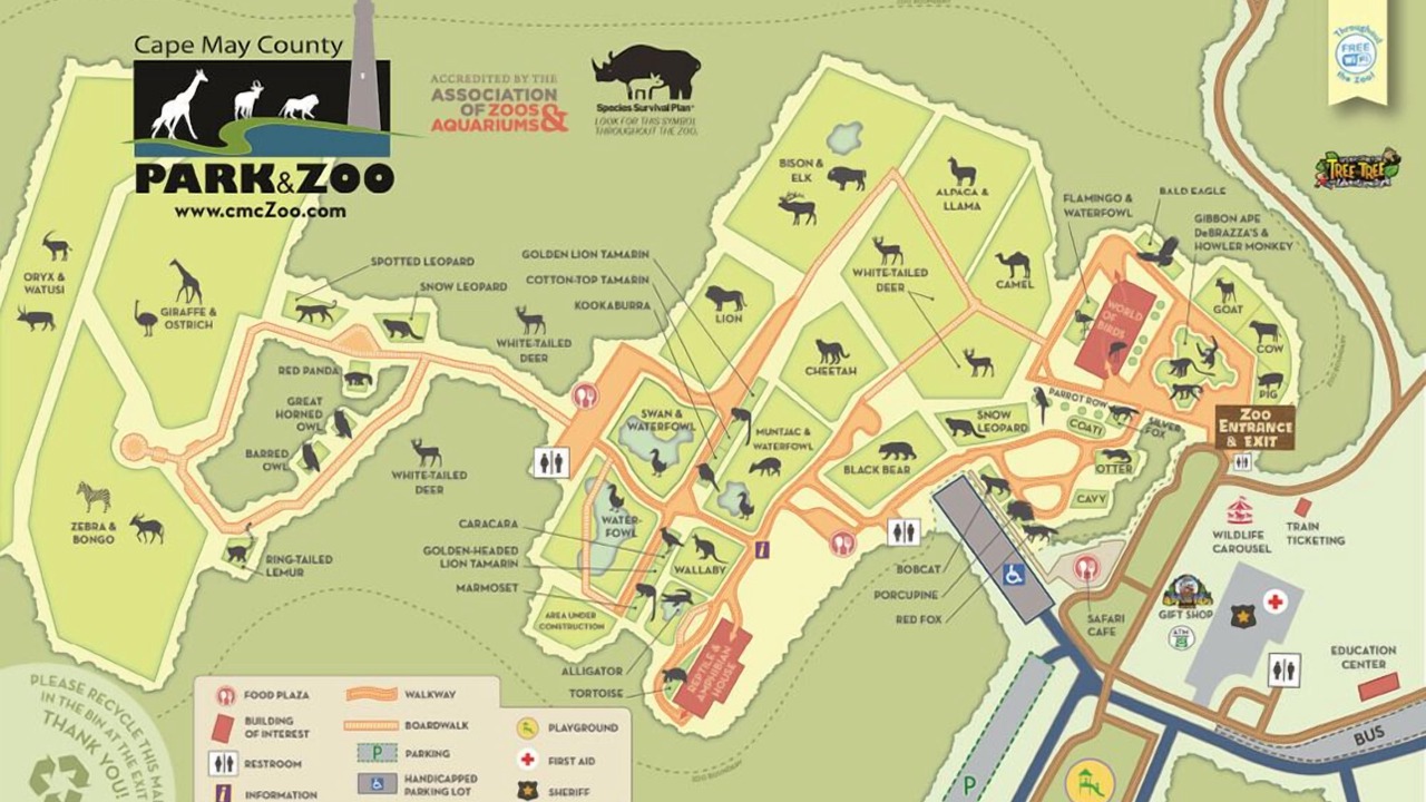 Photo of Others in North End