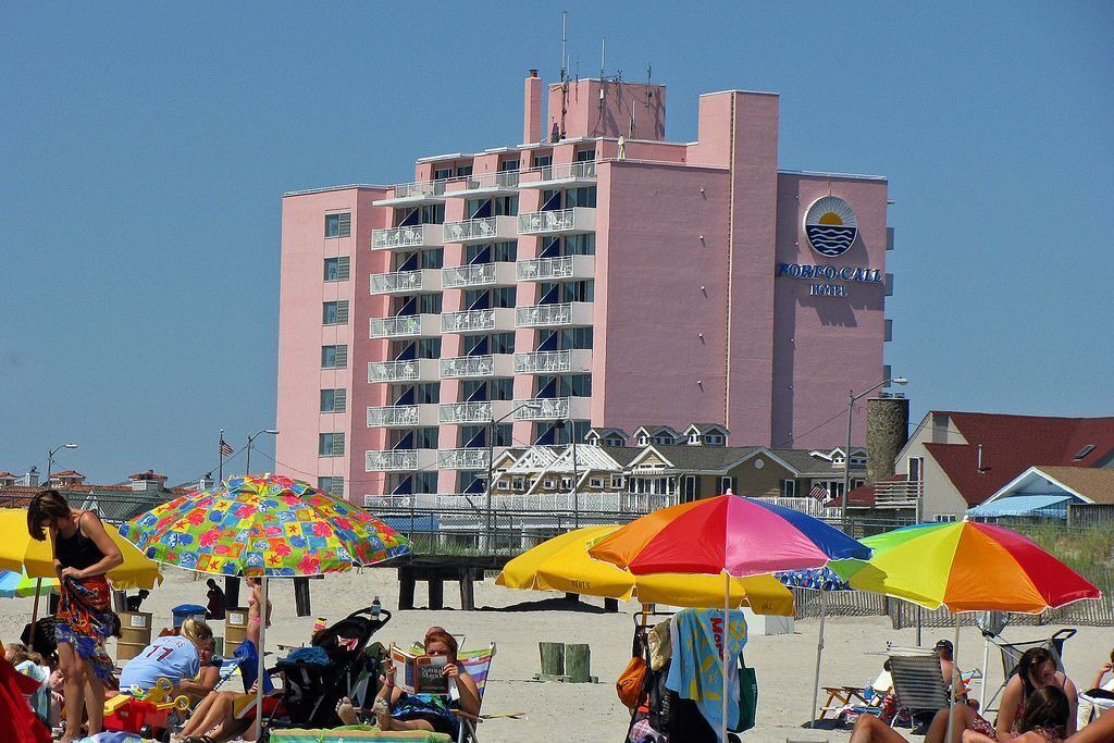 Photo of Others in North End