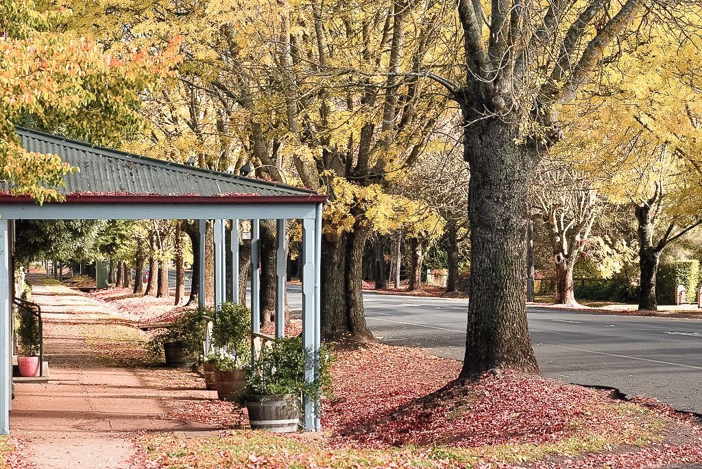 Photo of Others in Hepburn Springs