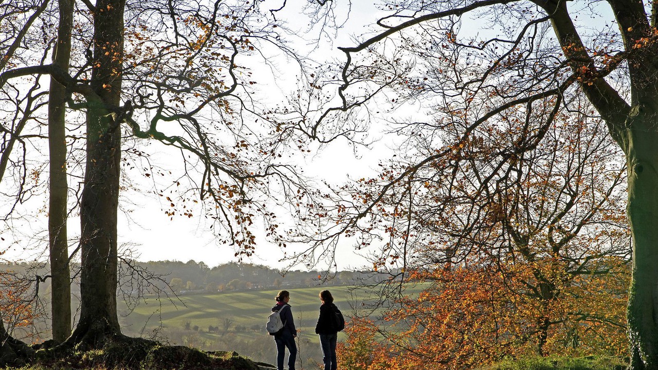 Photo of Others in Shrewton