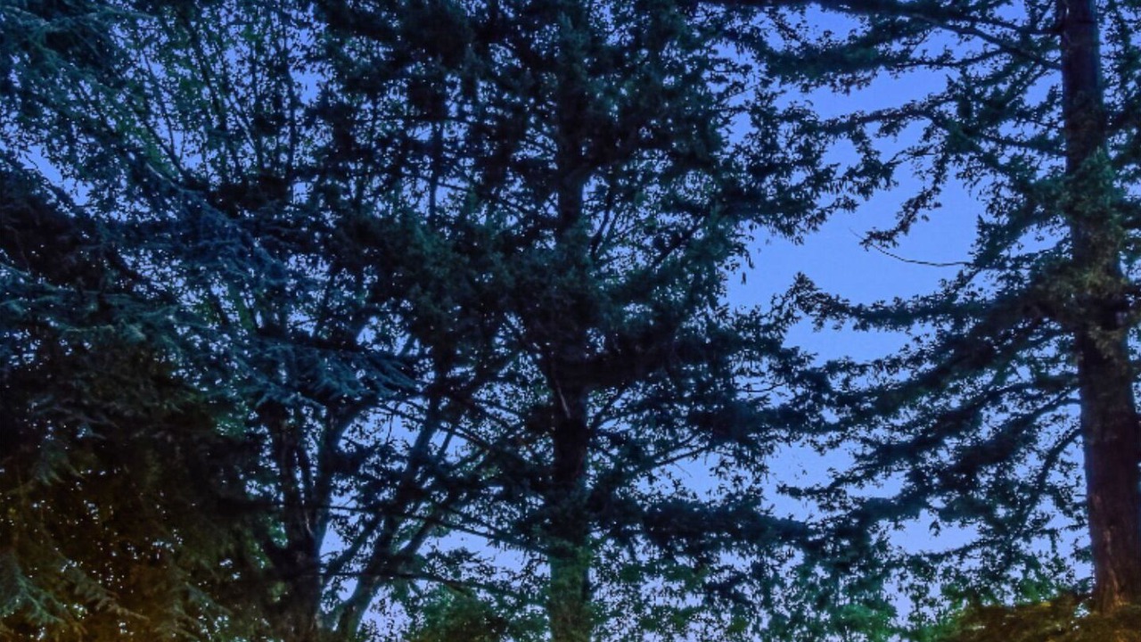 Photo of Outdoor in Turangi