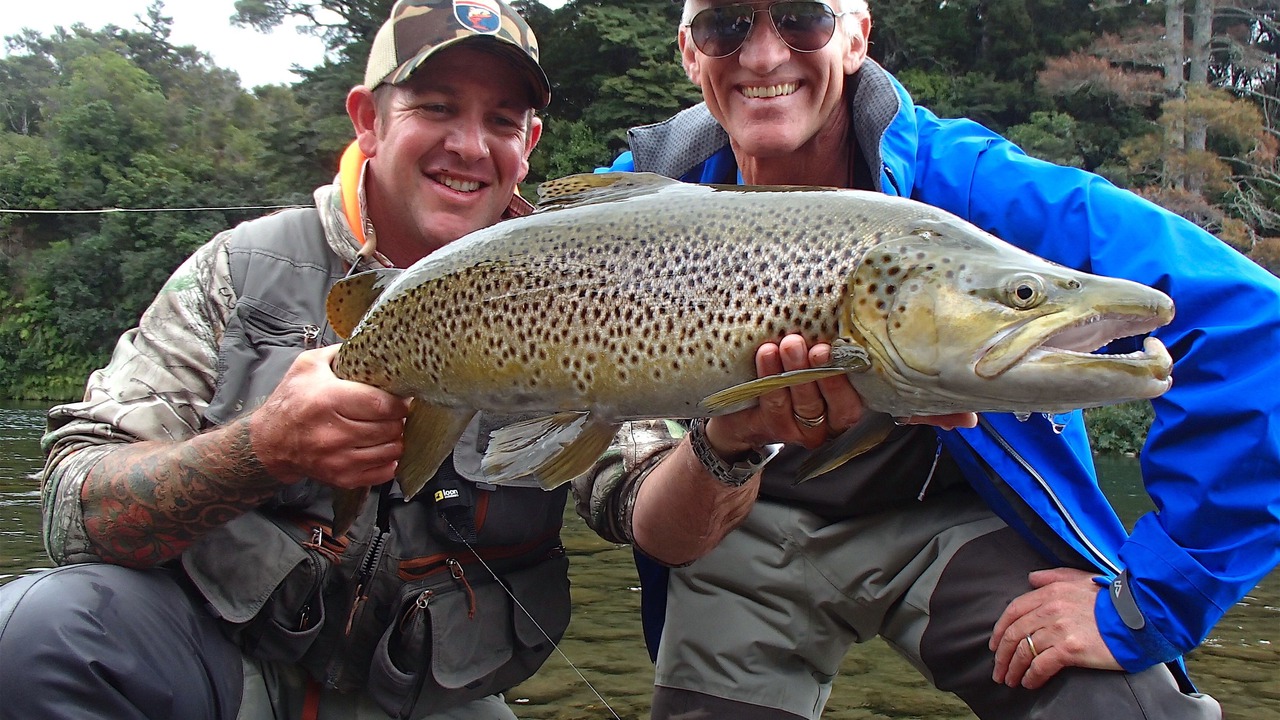 Photo of Others in Turangi