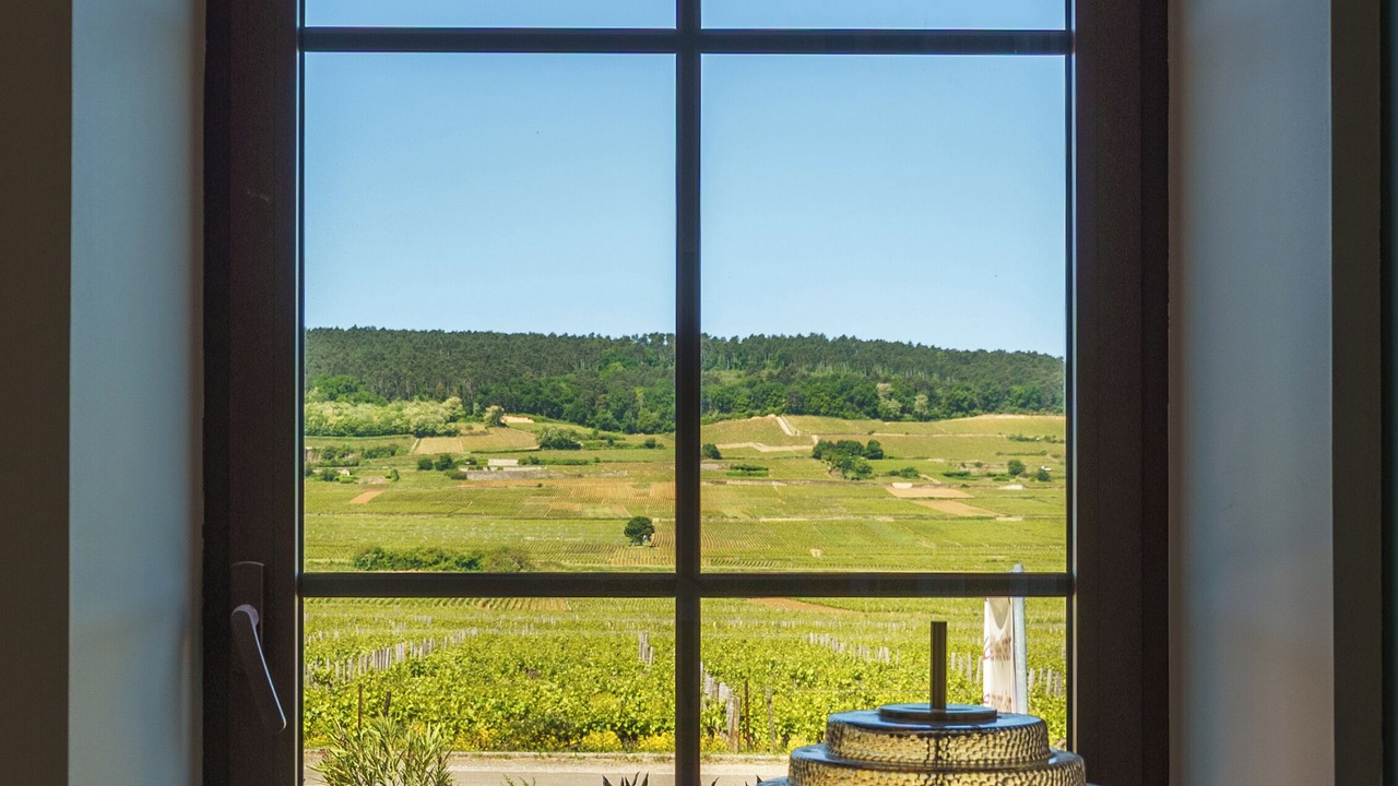 Photo of Others in Gevrey-Chambertin