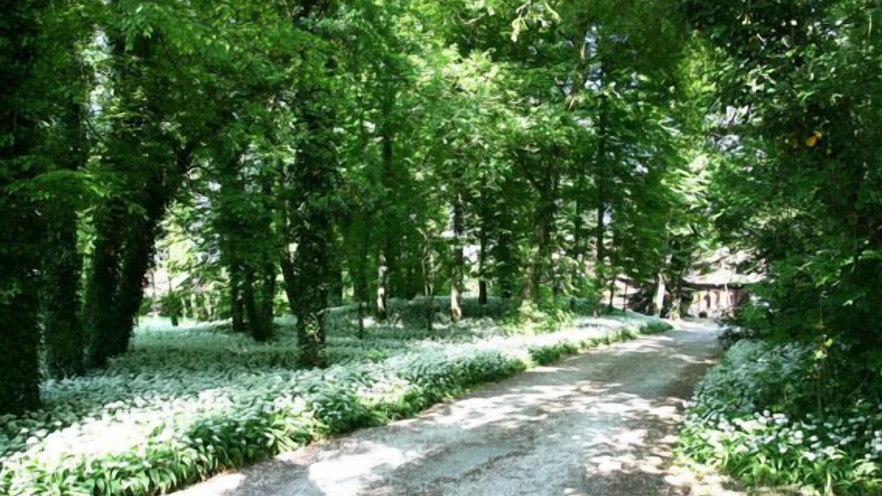 Photo of Outdoor in Charette