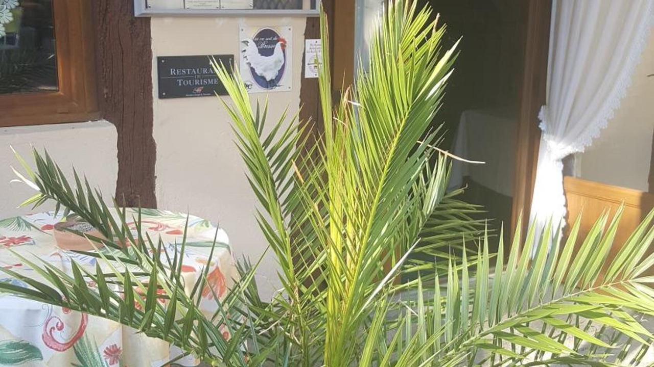 Photo of Outdoor in Charette