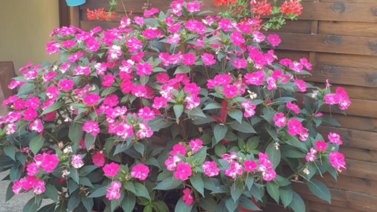 Photo of Outdoor in Charette