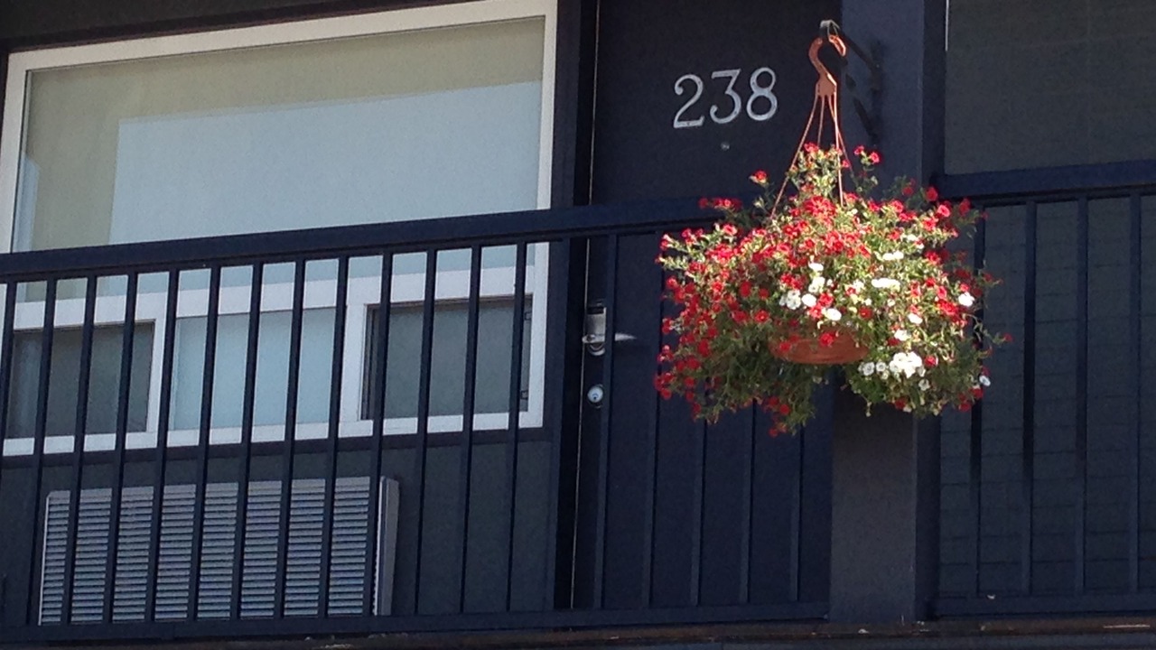 Photo of Outdoor in Montgomery