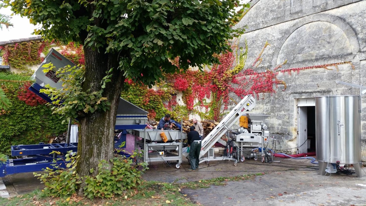 Photo of Outdoor in Puisseguin