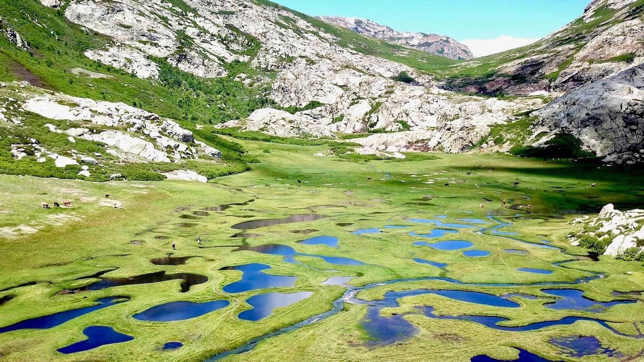 Photo of Outdoor in Favone