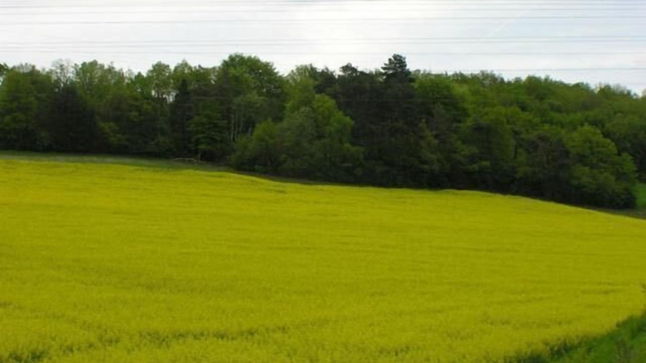 Photo of Outdoor in Tonnerre