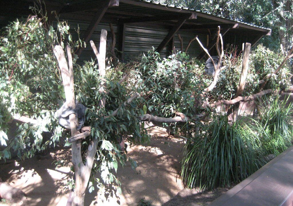 Photo of Others in Springwood