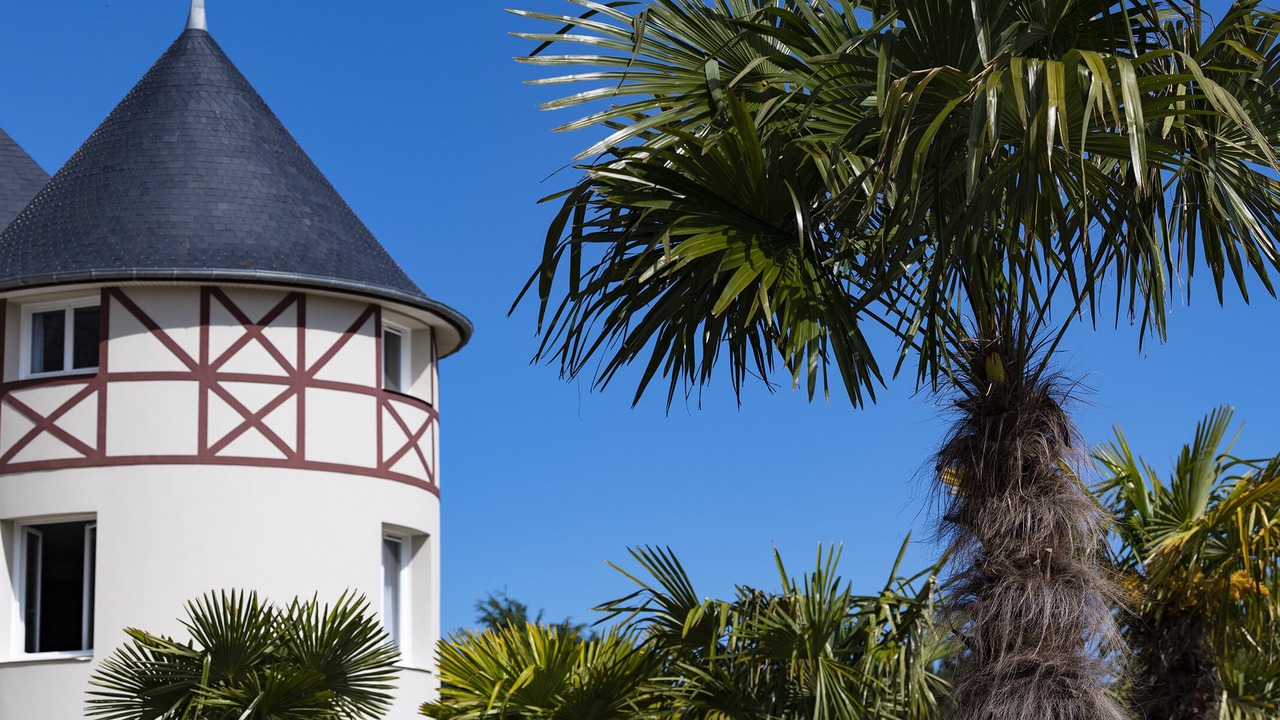 Photo of Outdoor in Sables-d'Or-les-Pins