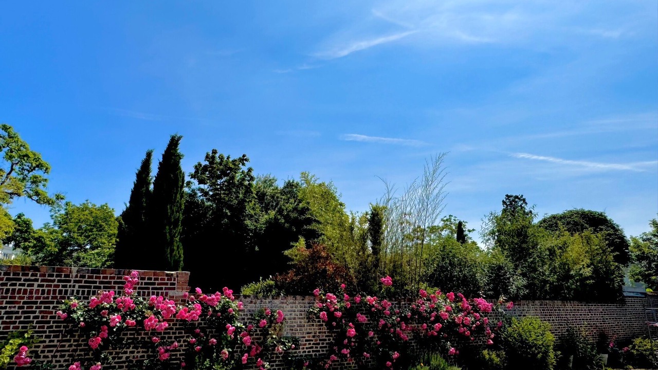 Photo of Patio Balcony in Vendome
