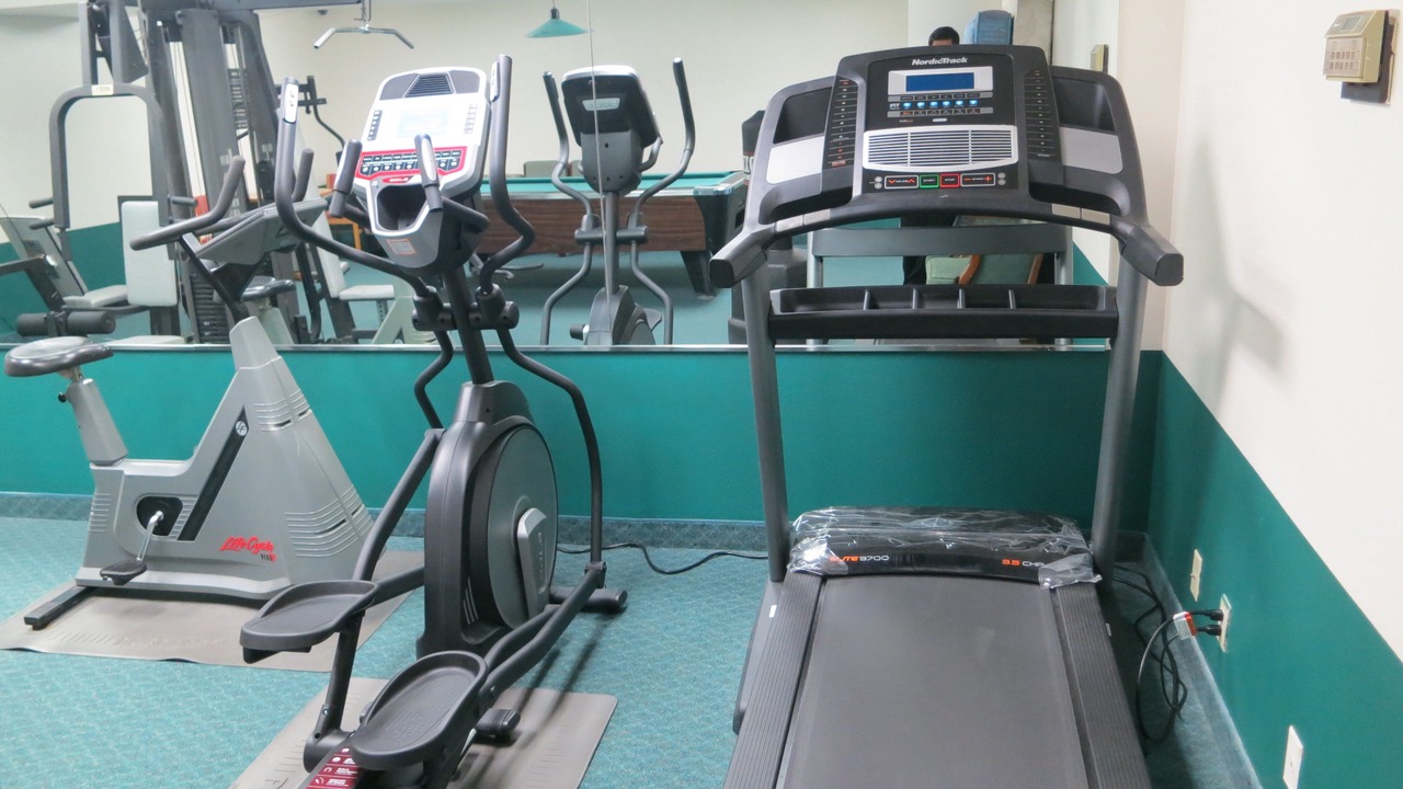 Photo of Others in Sehome