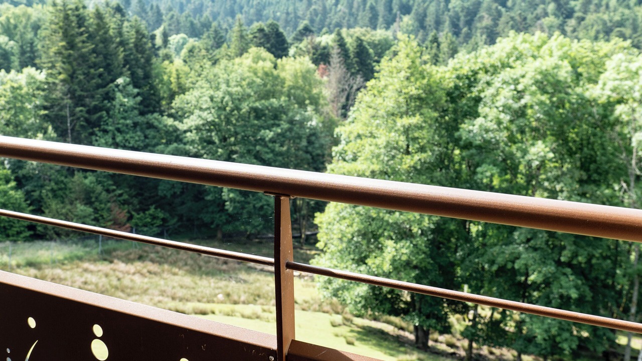 Photo of Outdoor in Le Tholy