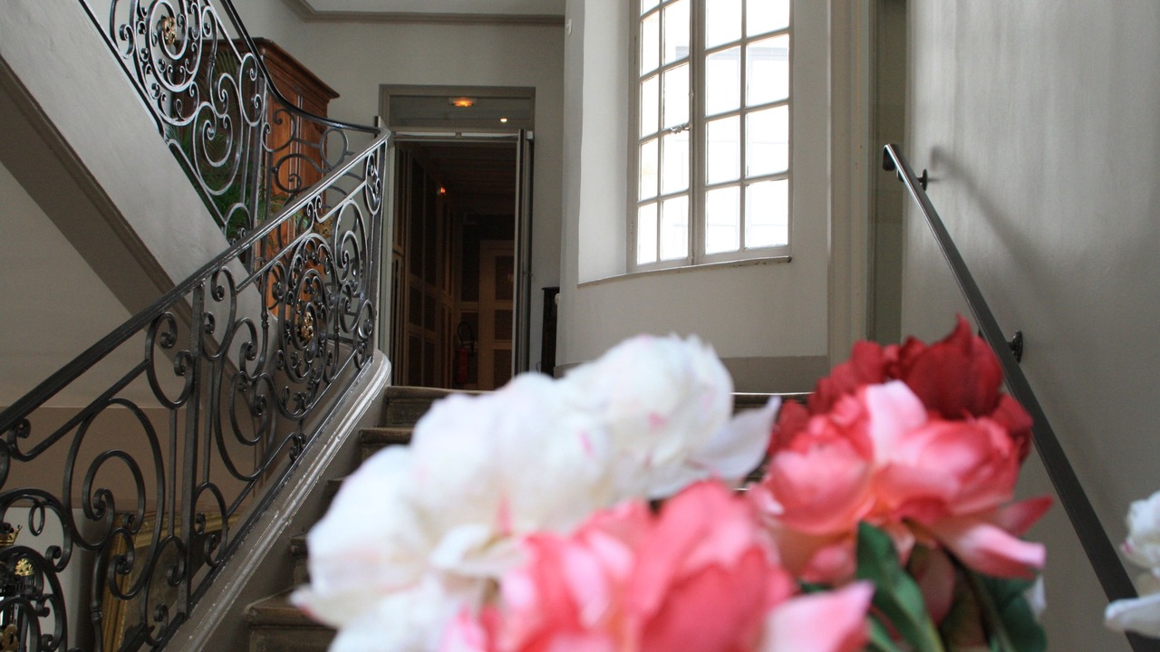 Photo of Others in Nancy City Centre