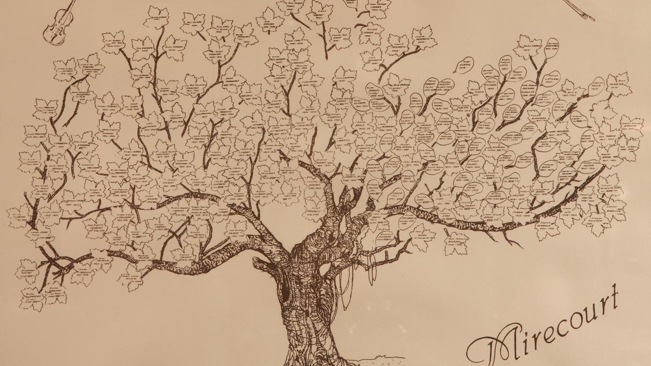 Photo of Others in Mirecourt