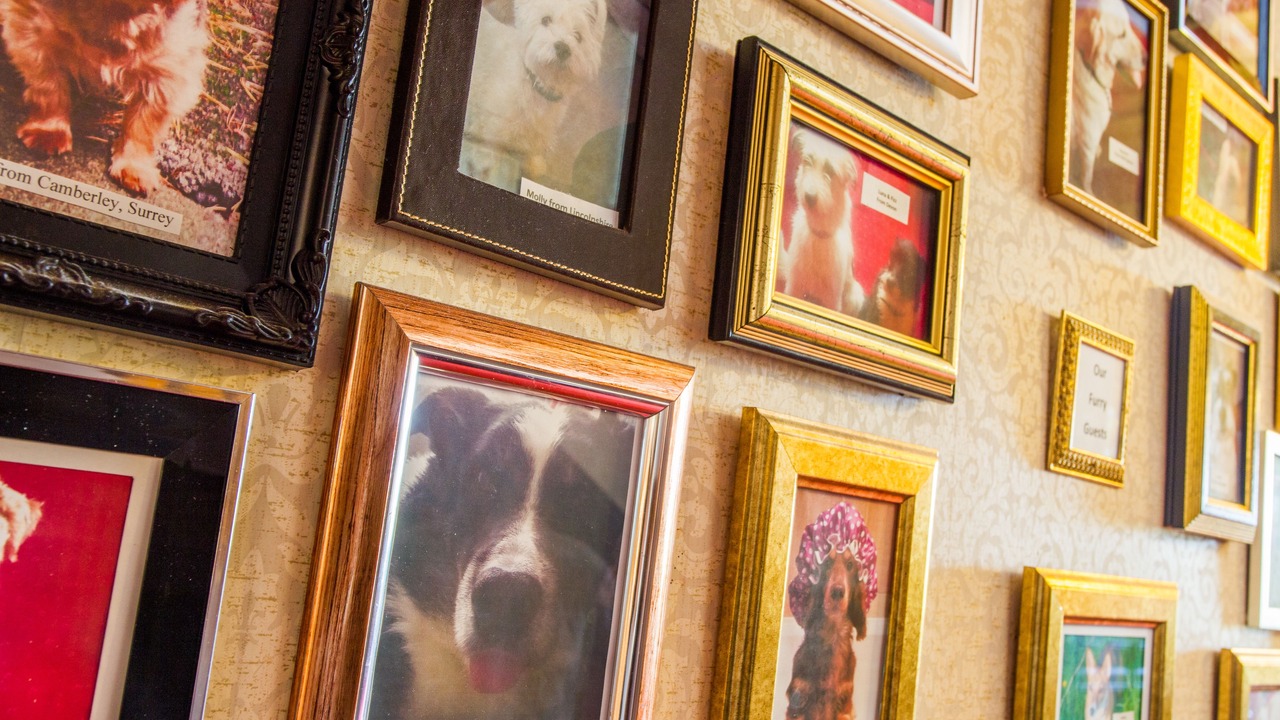 Photo of Others in Hoylandswaine