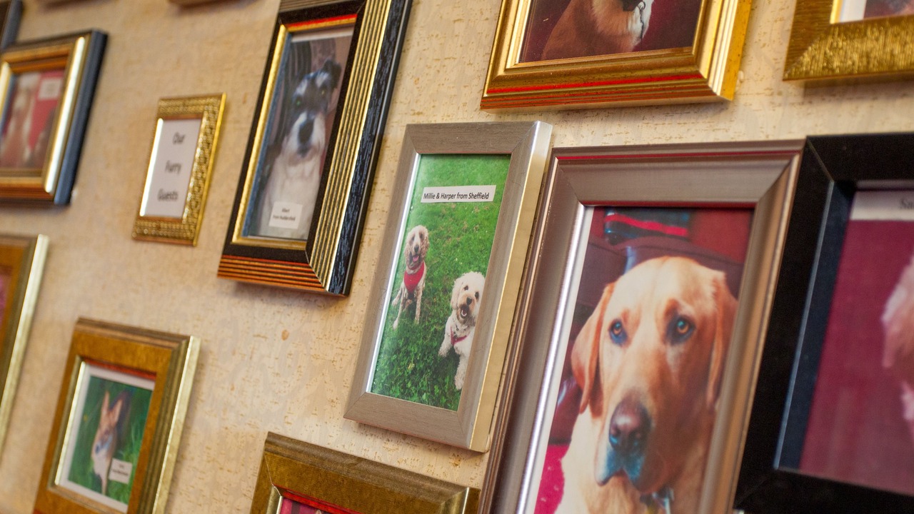 Photo of Others in Hoylandswaine