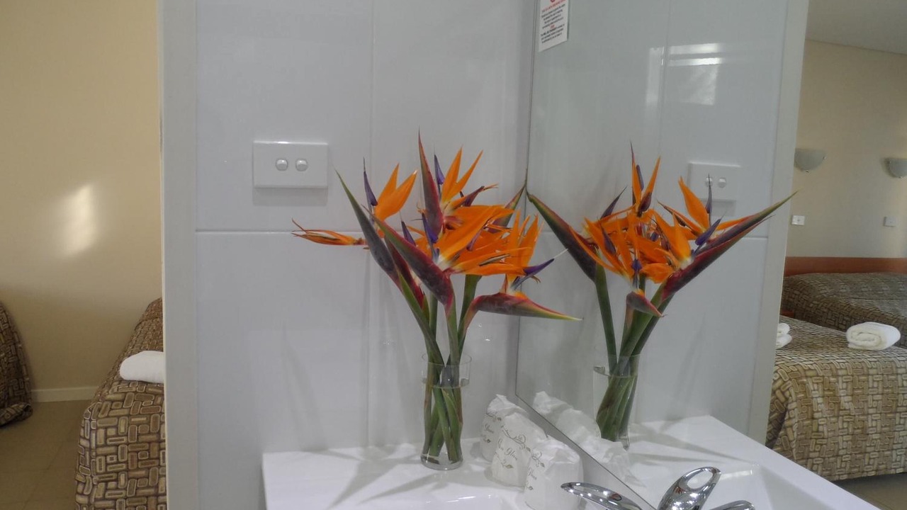 Photo of Others in Lidcombe