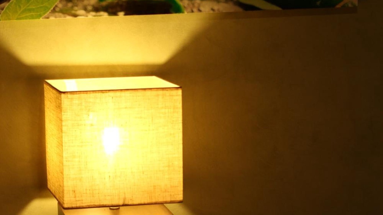 Photo of Others in Glenelg North