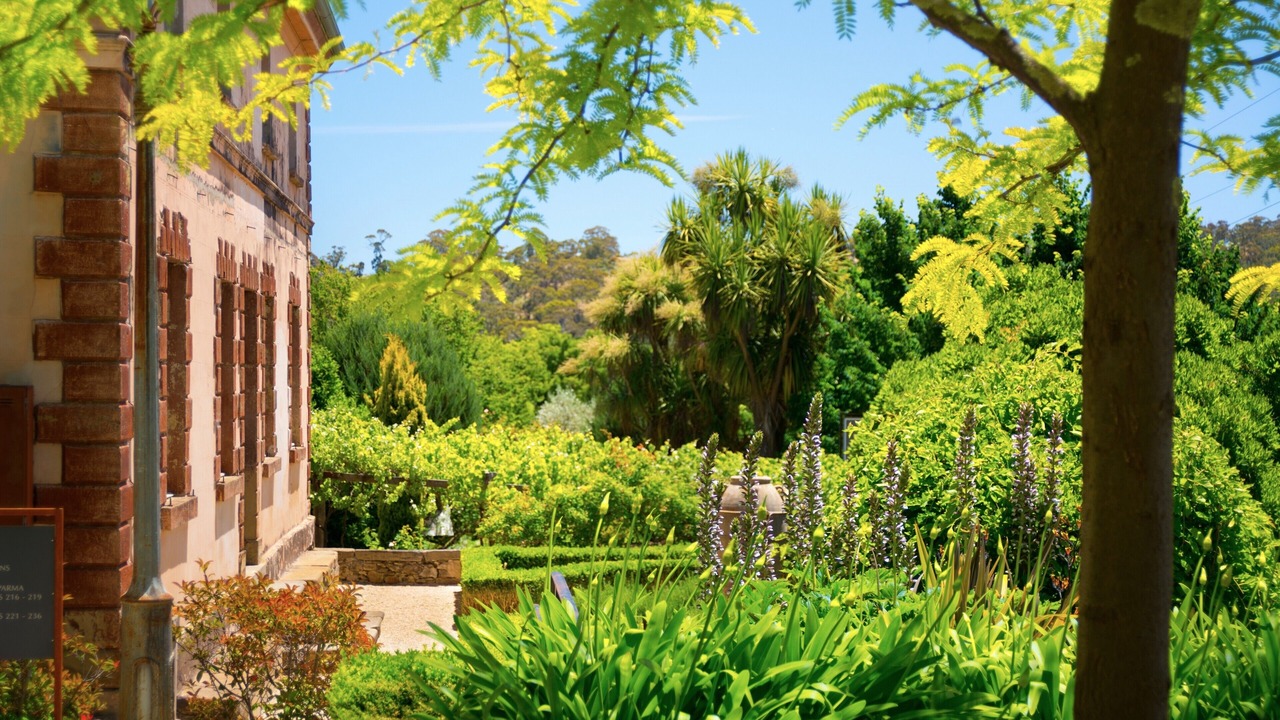 Photo of Outdoor in Hepburn Springs