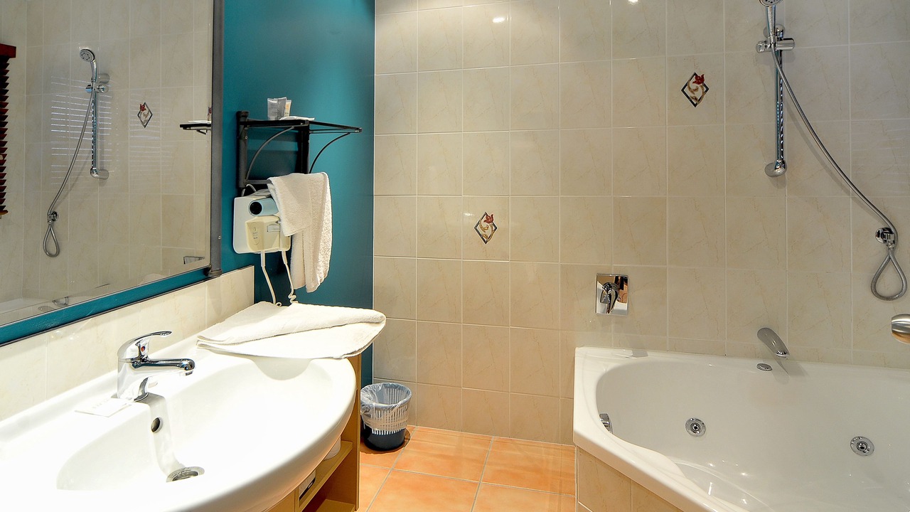 Photo of Bathroom in East Tamaki