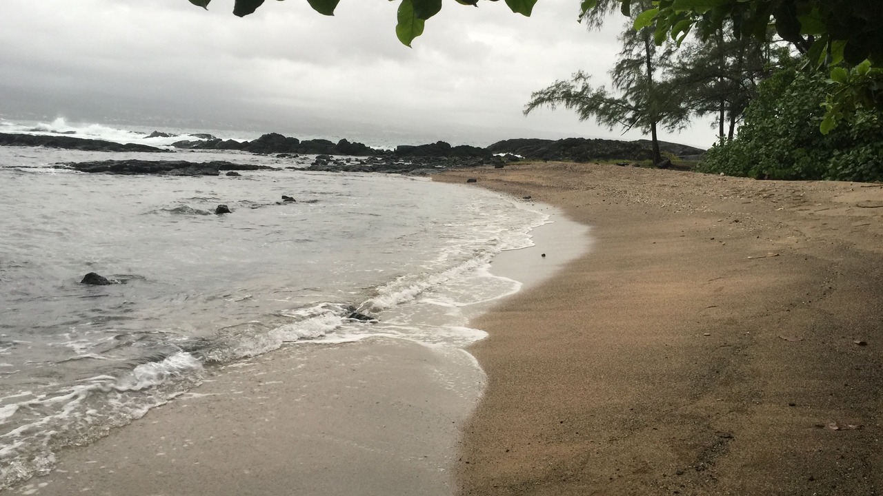 Photo of Others in Keaukaha