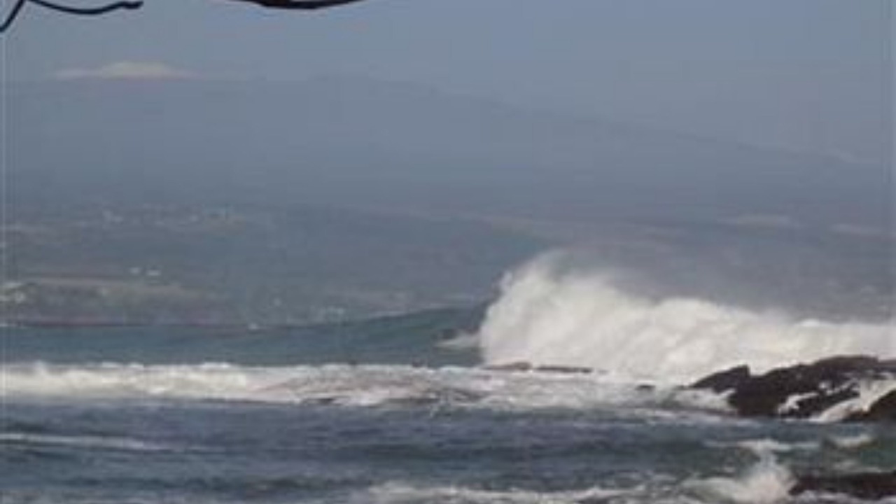 Photo of Others in Keaukaha