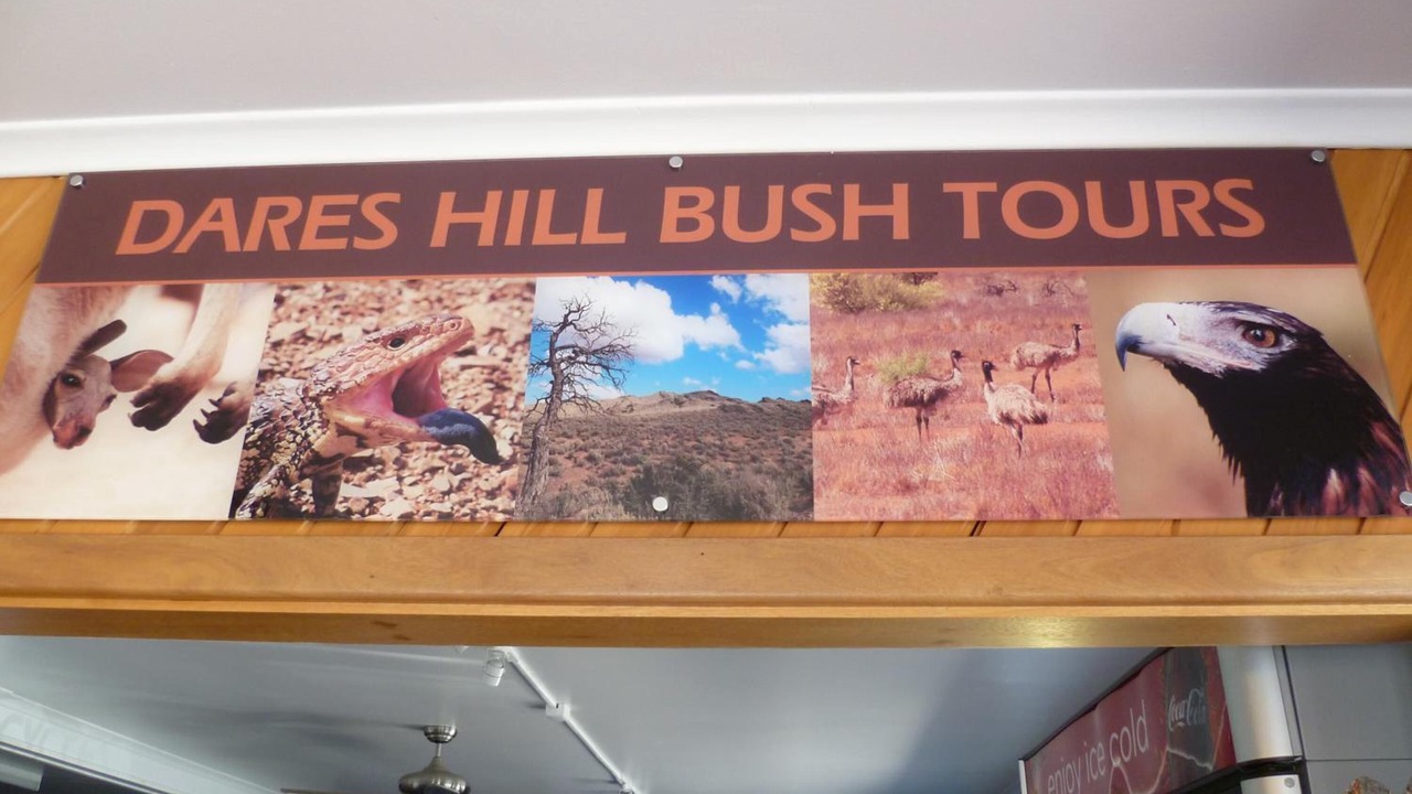 Photo of Others in Glenelg South