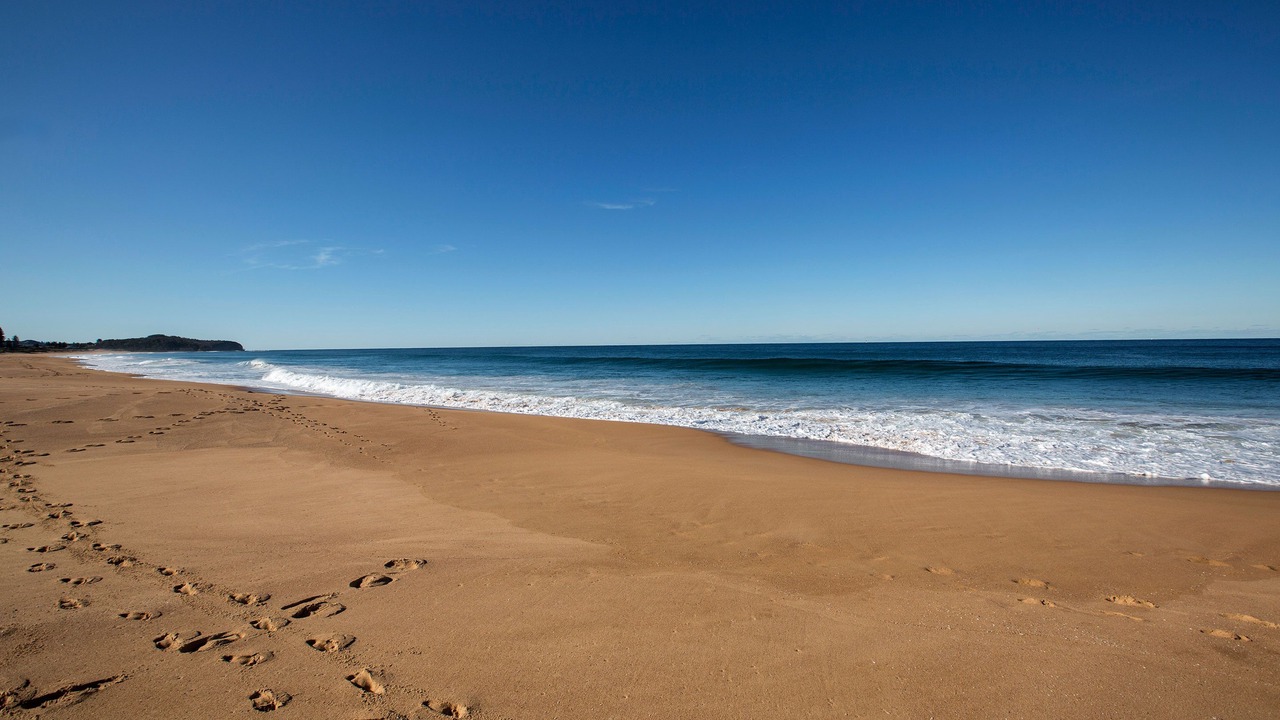 Photo of Others in Narrabeen