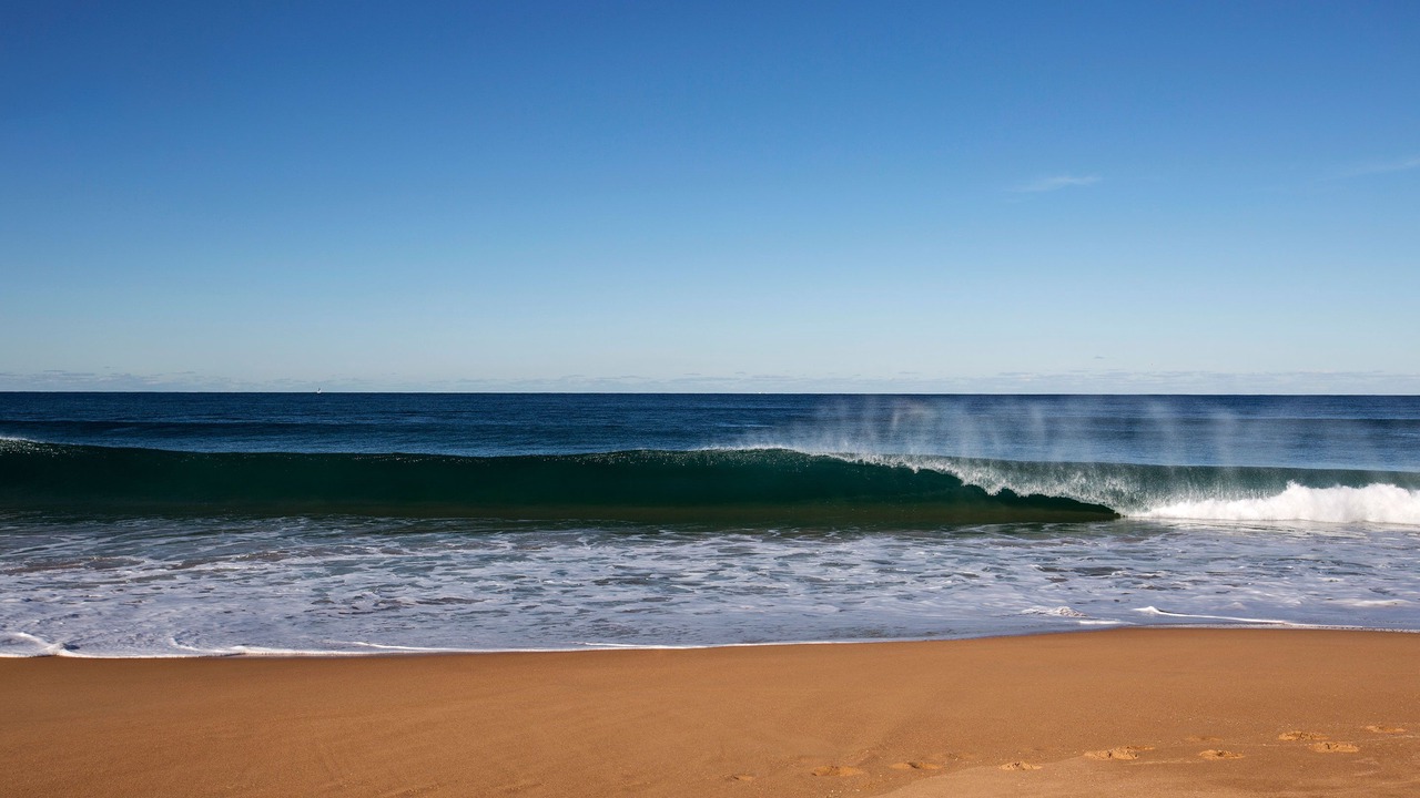 Photo of Others in Narrabeen
