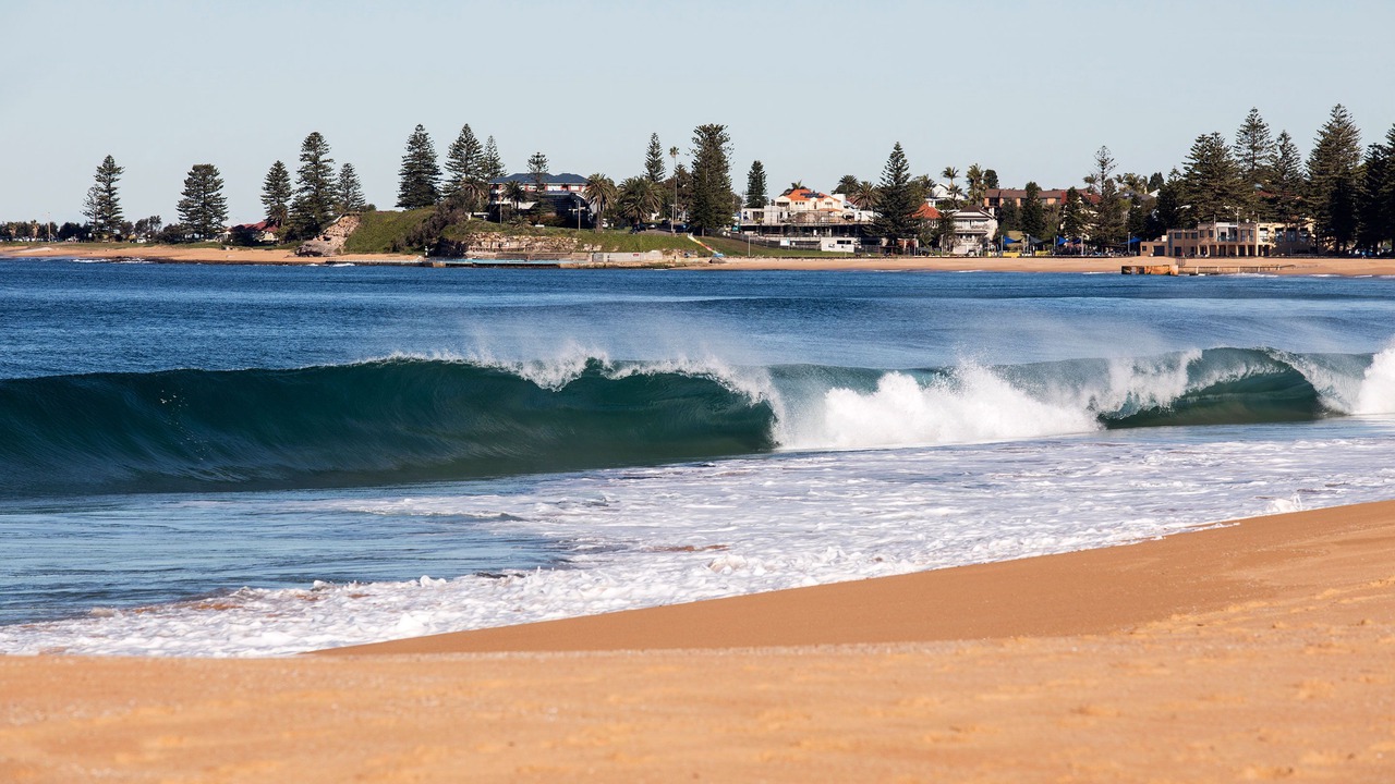 Photo of Others in Narrabeen