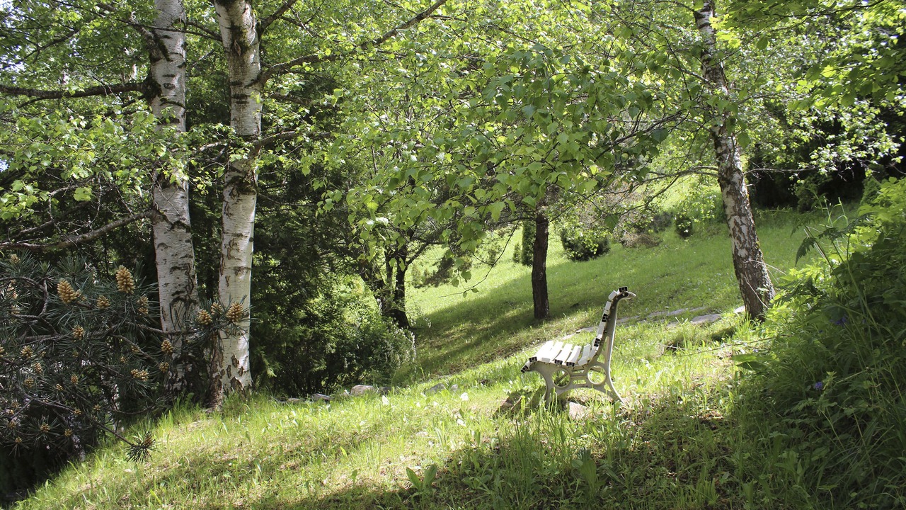 Photo of Outdoor in Arinsal